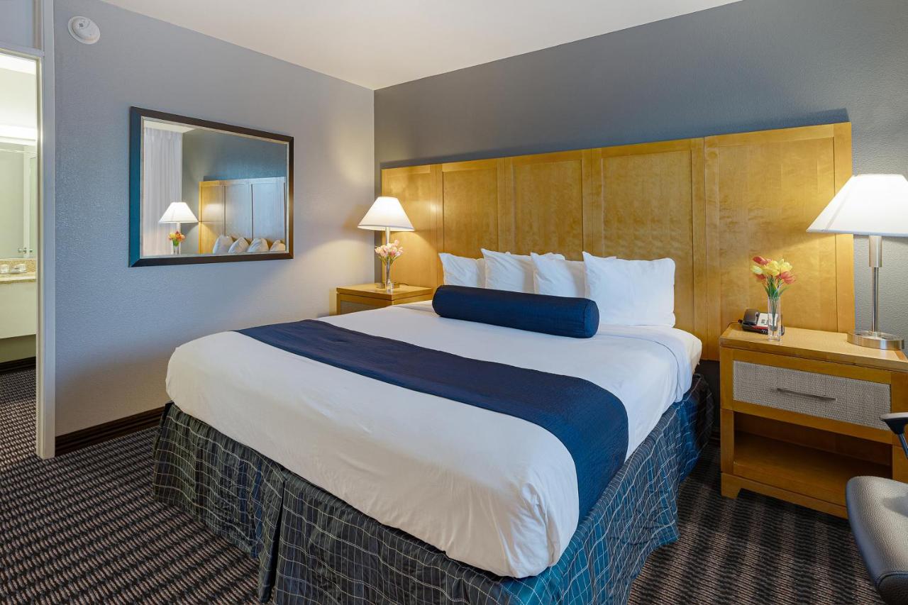 King Room - Pet Friendly/Non-Smoking at Travelodge by Wyndham Palm Springs