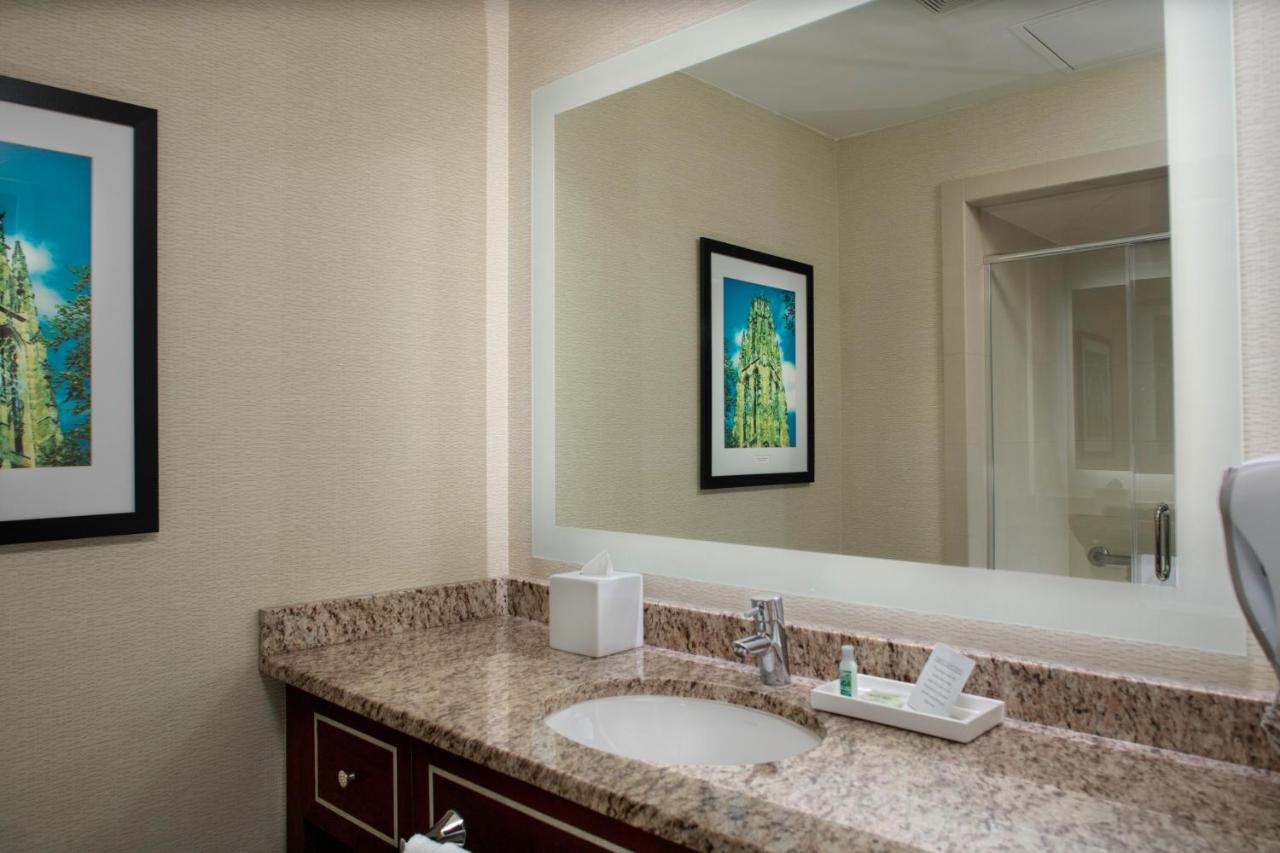 King Room at New Haven Hotel