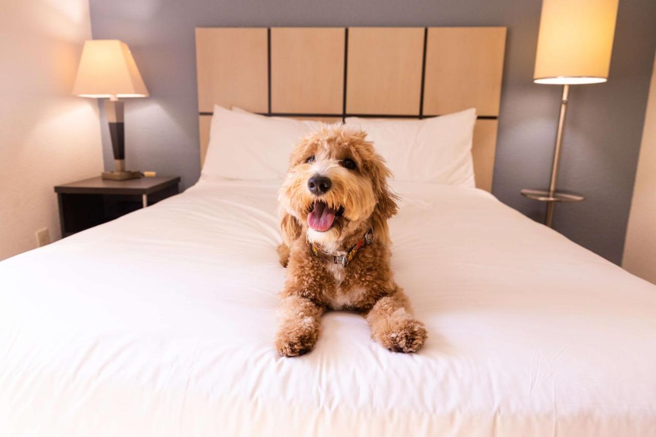| Sonesta Simply Suites St Louis Earth City