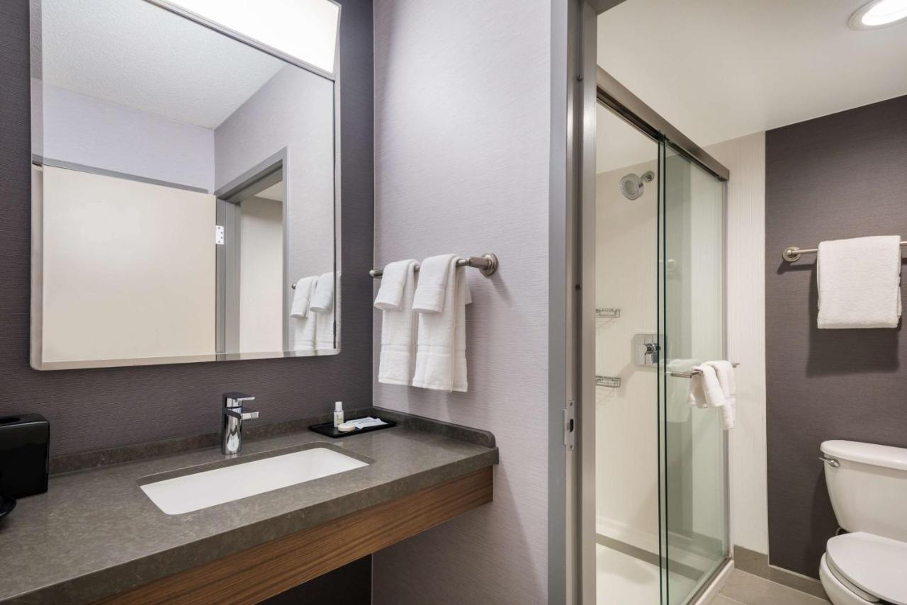 One Bedroom Suite Two Queens with Sofabed at Sonesta Select San Jose Airport
