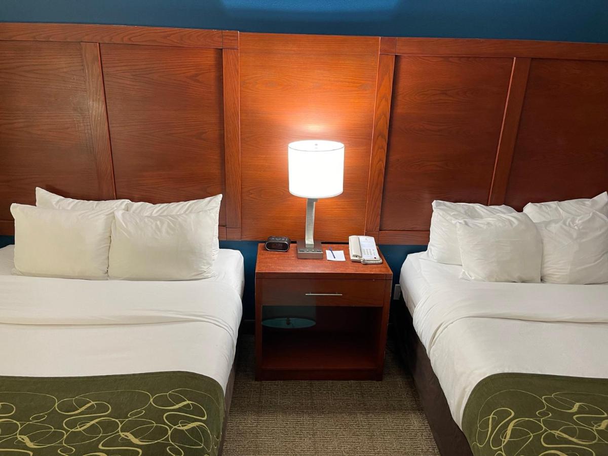 Queen Suite with Two Queen Beds - Disability Access/Non-Smoking at Comfort Suites Lake Charles