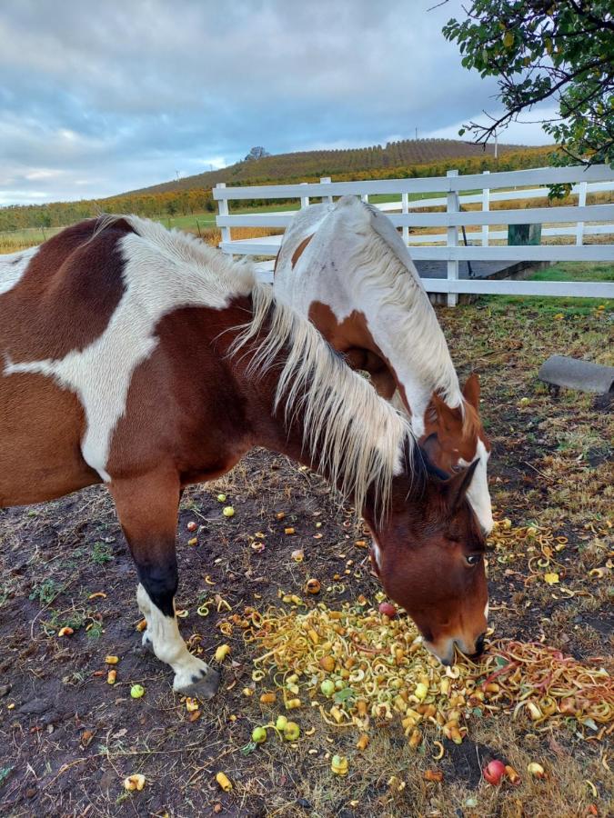  | Applinger Farm