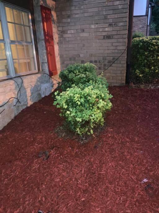  | Cozy1BR mins to the Historic StoneMTN Park&Village