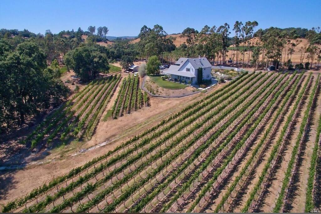 | Estate House overlooking cult Russian River Vineyard