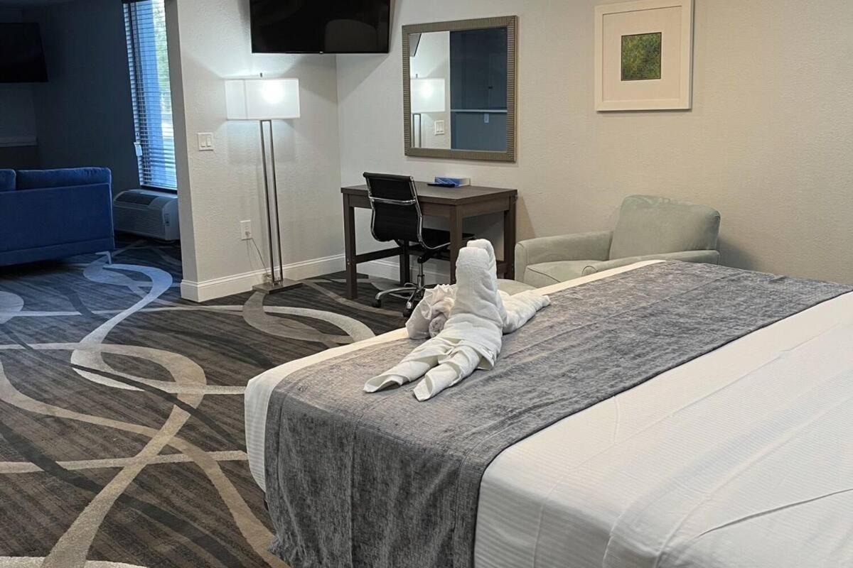 Studio with Ocean View at Opal Hotel & Suites