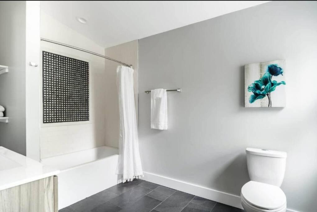  | Luxurious 3,000 Square Foot House Downtown
