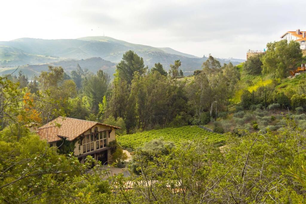 | Peppertree Canyon: a Luxury Urban Winery Estate