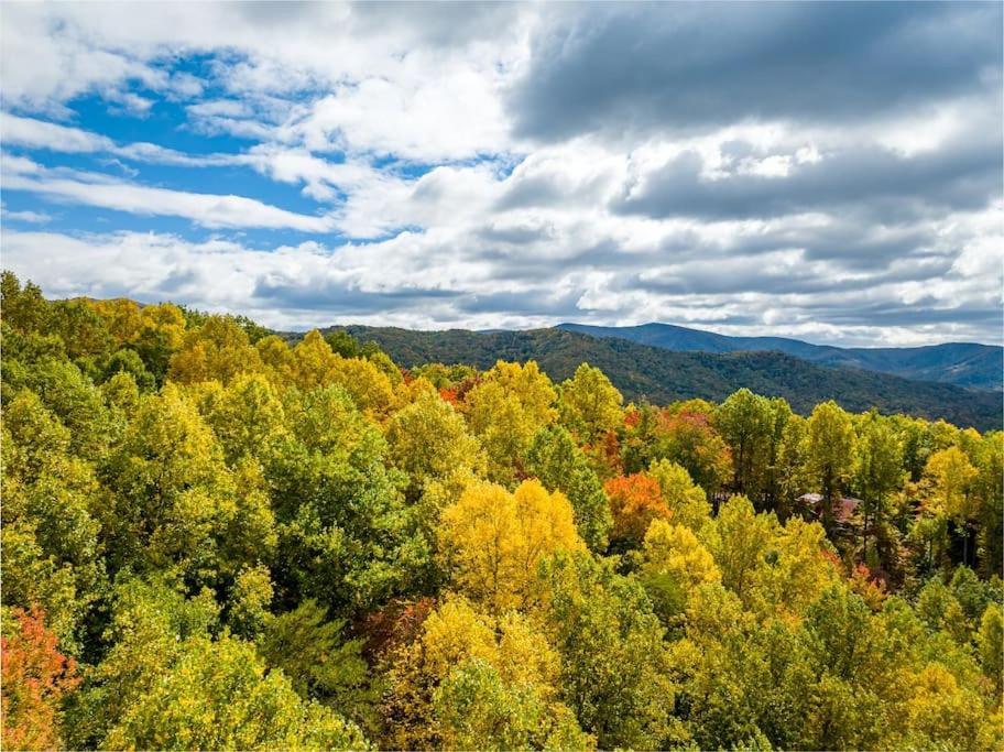 | Laurel Mountain Chalet