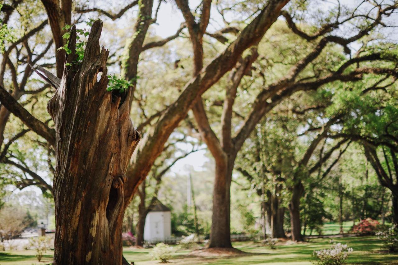 | The Myrtles Plantation