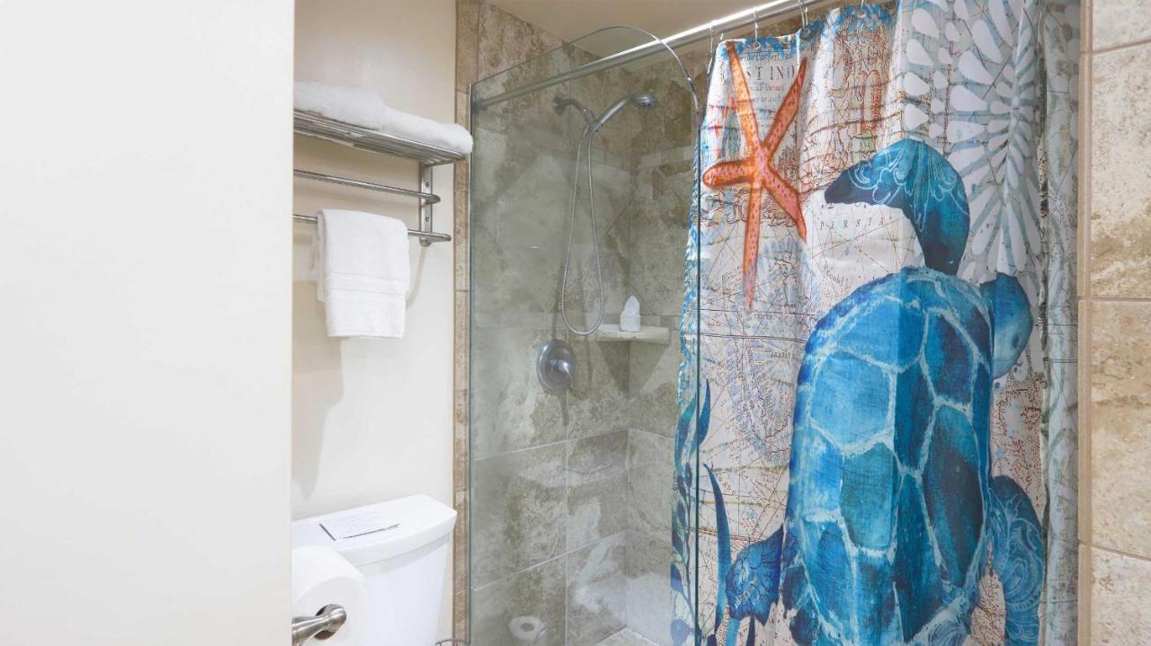  | Maui Westside Presents: Hale Mahina B302 - 1bed/1bath Turtle Condo!