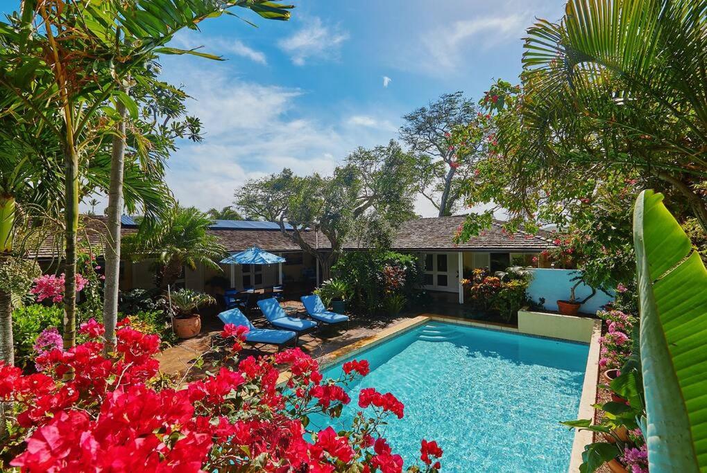 | Romantic Maui Dream Vacation Home at Baby Beach!