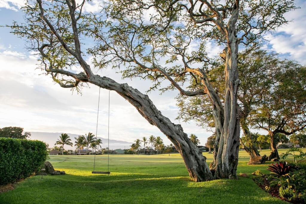 | Romantic Maui Dream Vacation Home at Baby Beach!