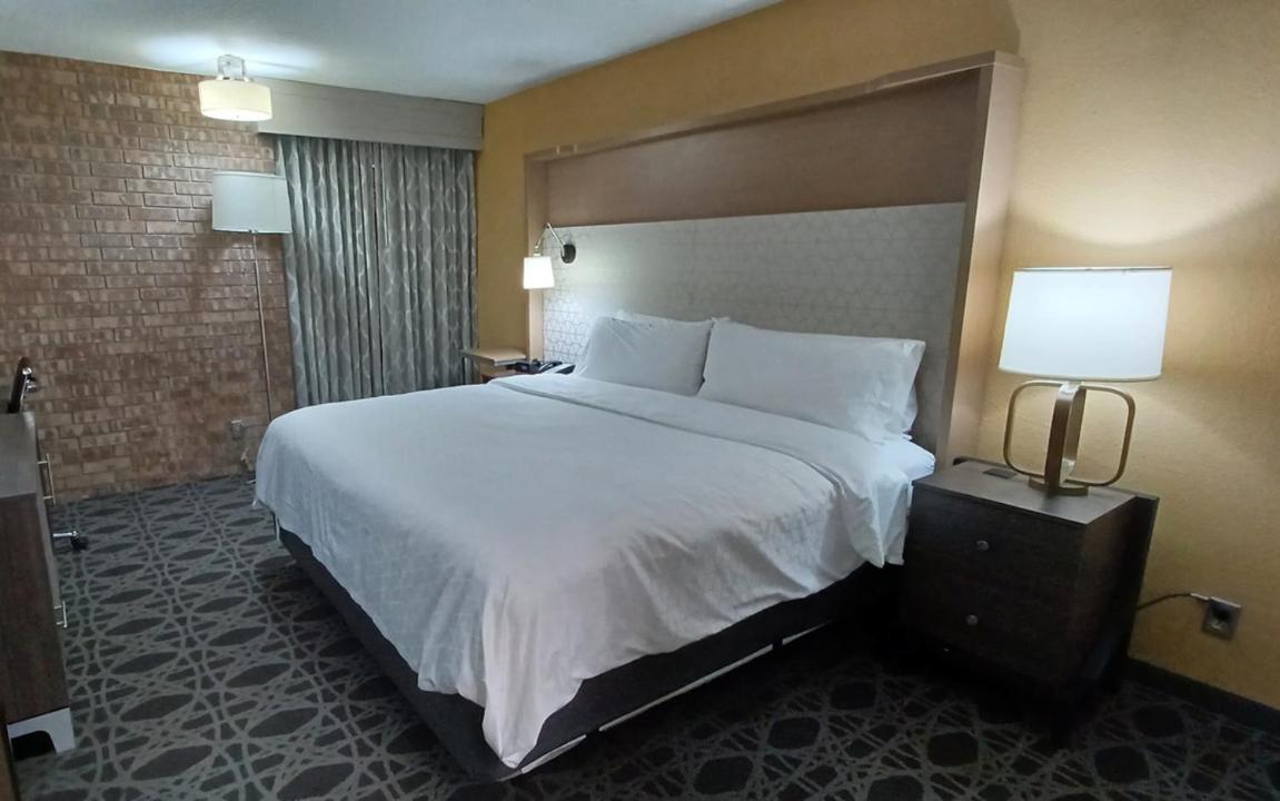 Standard King Room - Non-Smoking at Holiday Inn McAllen – Medical Center Area by IHG