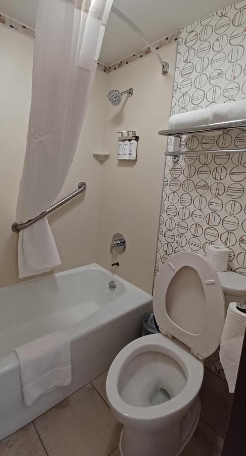 Standard King Room - Non-Smoking at Holiday Inn McAllen – Medical Center Area by IHG