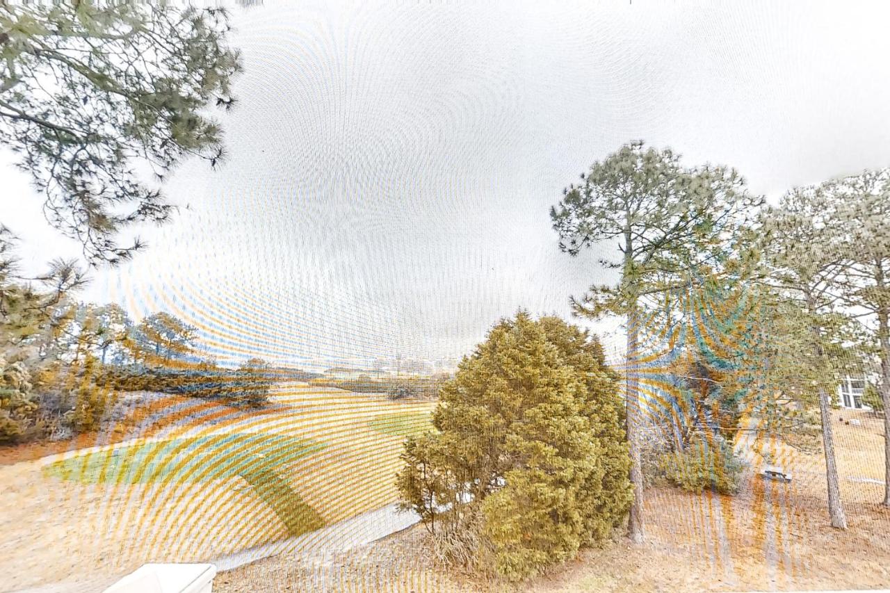 | Windsor Green 302