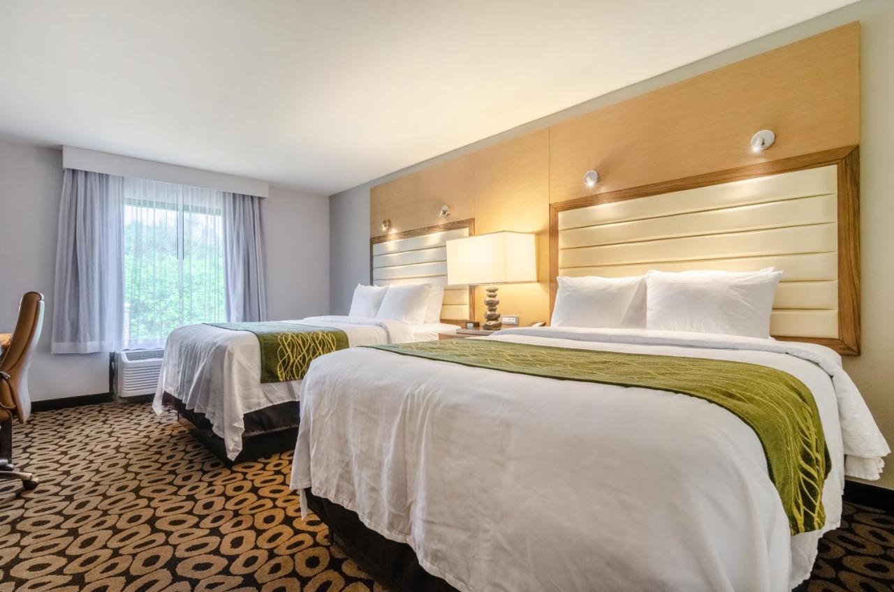 Queen Room - Accessible/Nonsmoking at Comfort Inn Raleigh Midtown