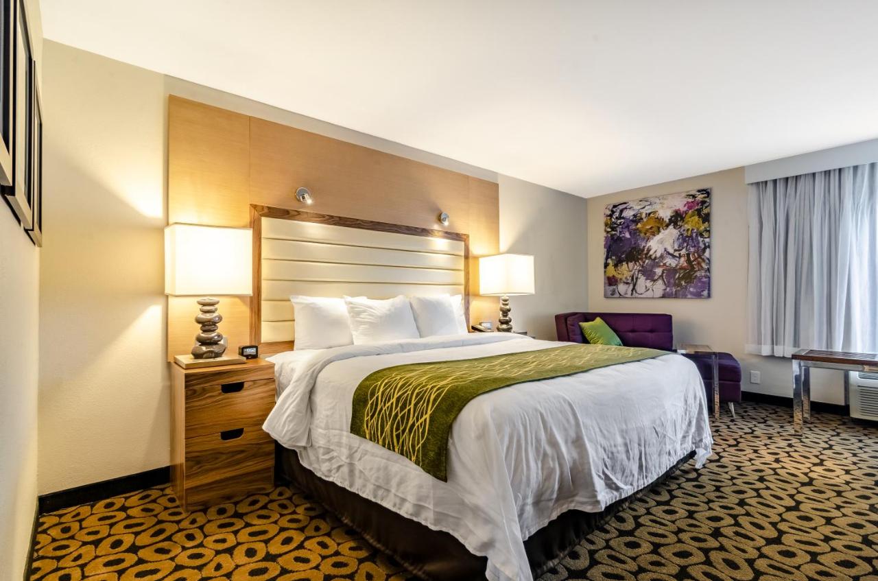 King Room with Shower - Non-Smoking at Comfort Inn Raleigh Midtown