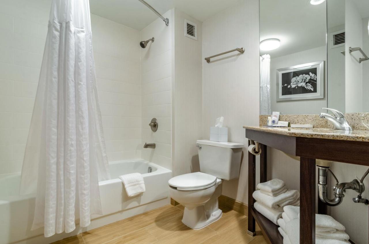 Queen Room - Accessible/Nonsmoking at Comfort Inn Raleigh Midtown