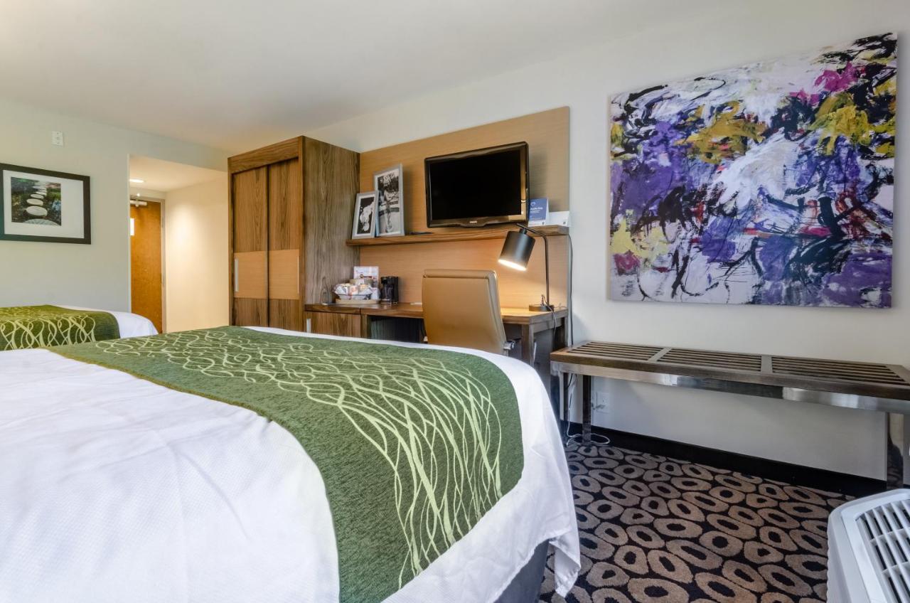 Queen Room - Accessible/Non-Smoking at Comfort Inn Raleigh Midtown