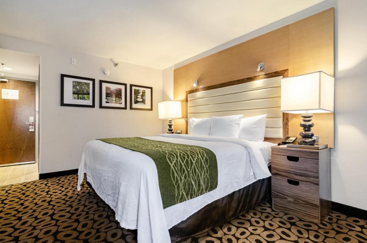 Superior King Room with Bathtub - Non Smoking at Comfort Inn Raleigh Midtown