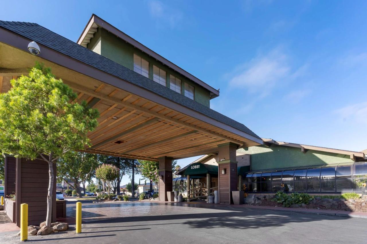 | Best Western Plus Forest Park Inn