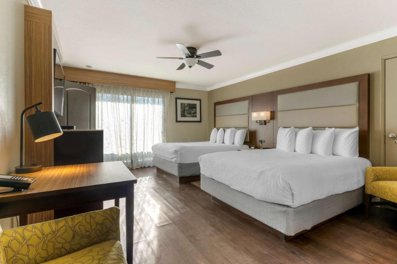 Family Suite at Best Western Plus Forest Park Inn