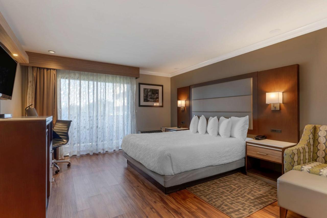 King Room - Disability Access/Bathtub at Best Western Plus Forest Park Inn