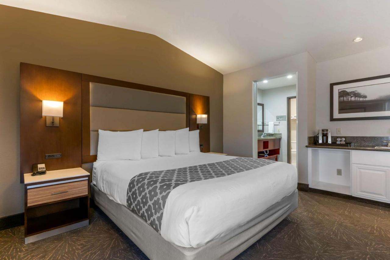 Executive King Room at Best Western Plus Forest Park Inn