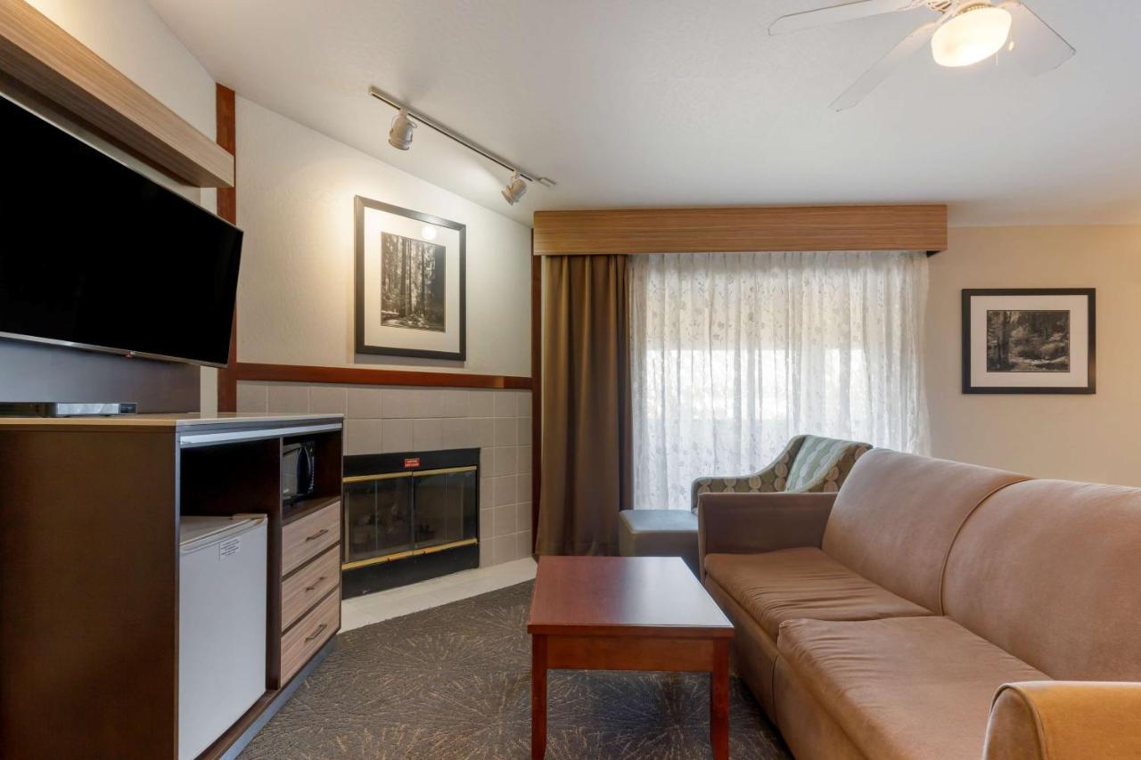 Executive King Room at Best Western Plus Forest Park Inn