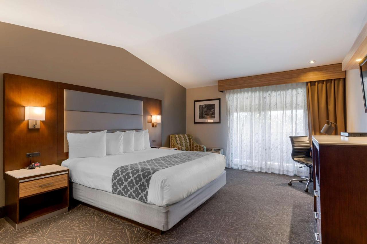 | Best Western Plus Forest Park Inn