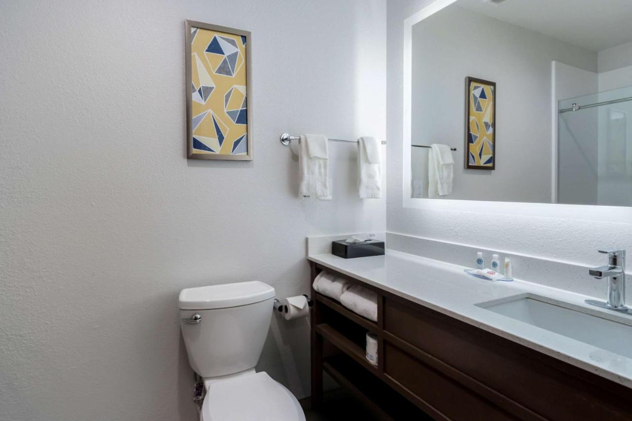 One Room Suite with Sofa bed - Non Smoking/Upper floor at Comfort Inn & Suites Lexington South