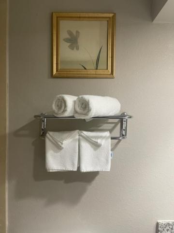 | Days Inn by Wyndham Fayetteville-South/I-95 Exit 49