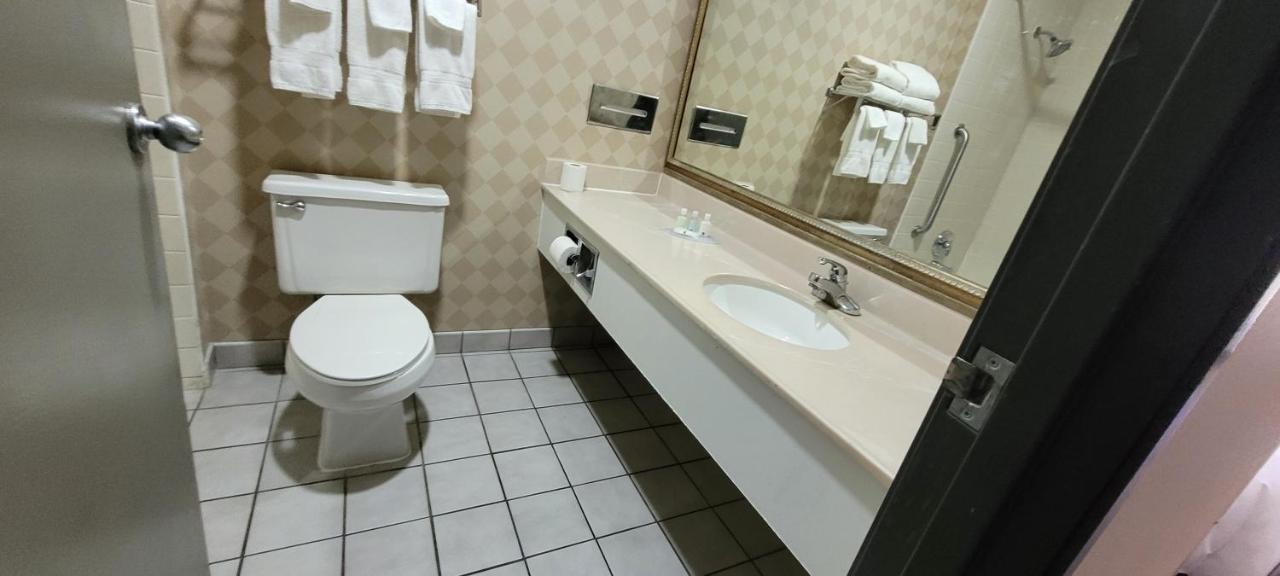 King Room - Non-Smoking at Quality Inn & Suites Columbia I-70