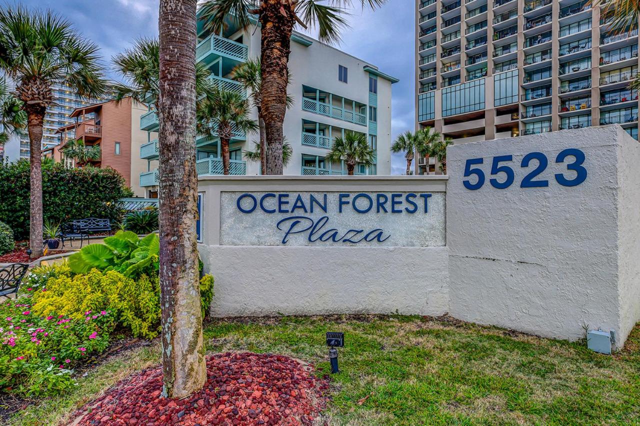  | Ocean Forest Plaza 1013