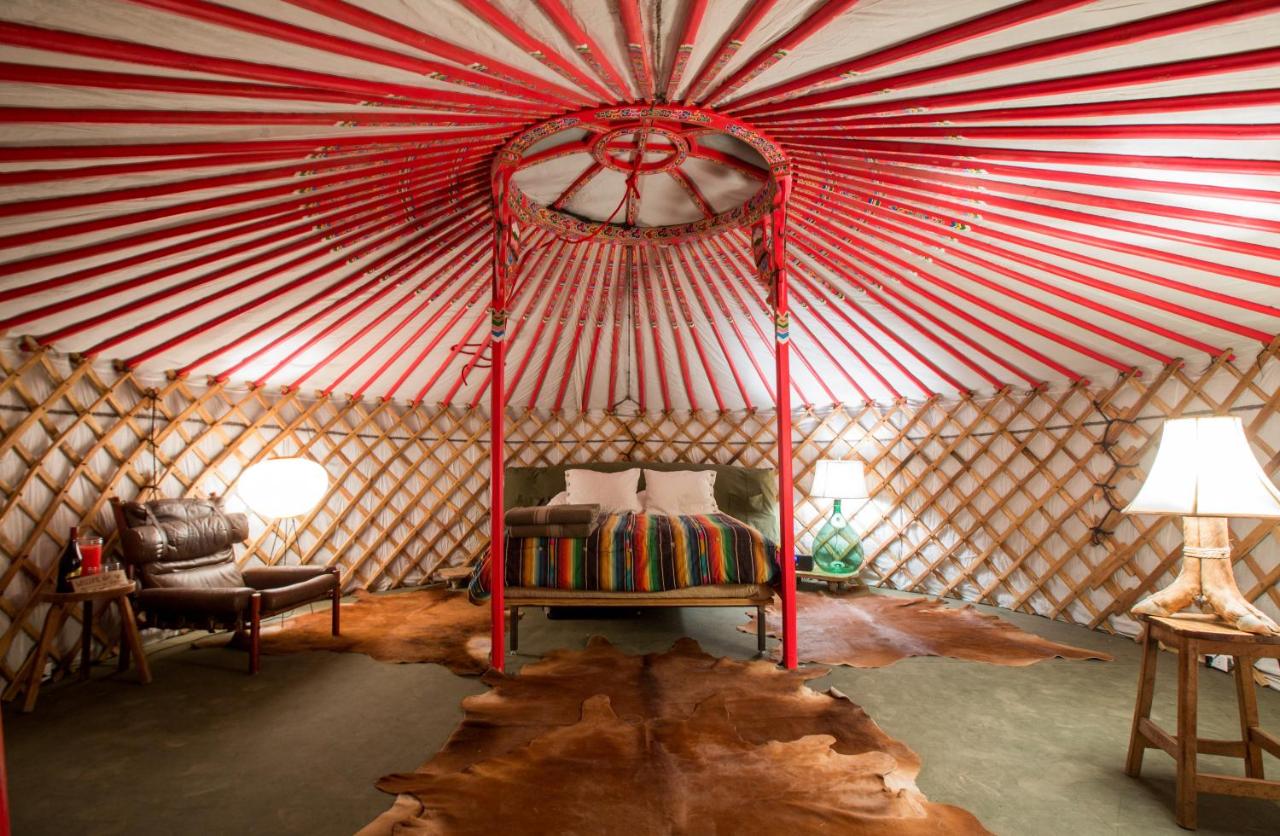 | El Cosmico