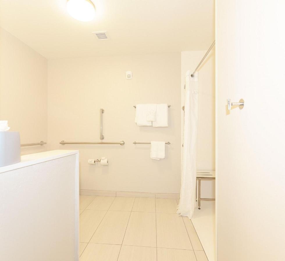 King Suite with Accessible Roll-in Shower at Holiday Inn Express & Suites Franklin - Berry Farms by IHG