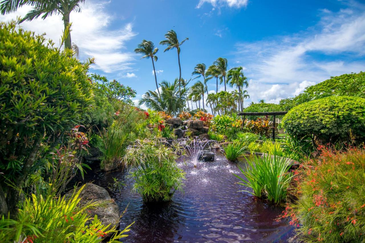 | Napili Shores Maui by Outrigger - No Resort & Housekeeping Fees