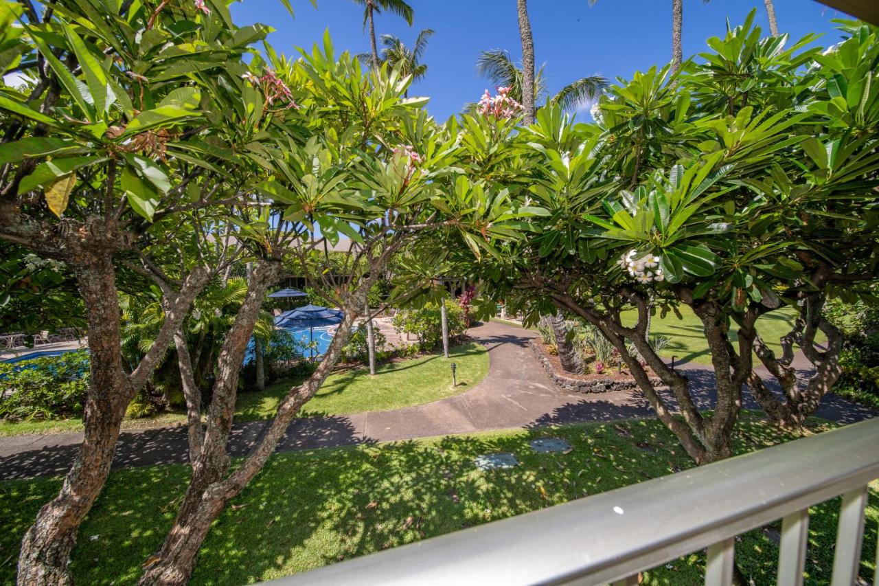 | Napili Shores Maui by Outrigger - No Resort & Housekeeping Fees