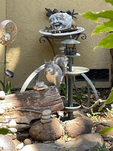 | Glen Ellen Inn Secret Cottages