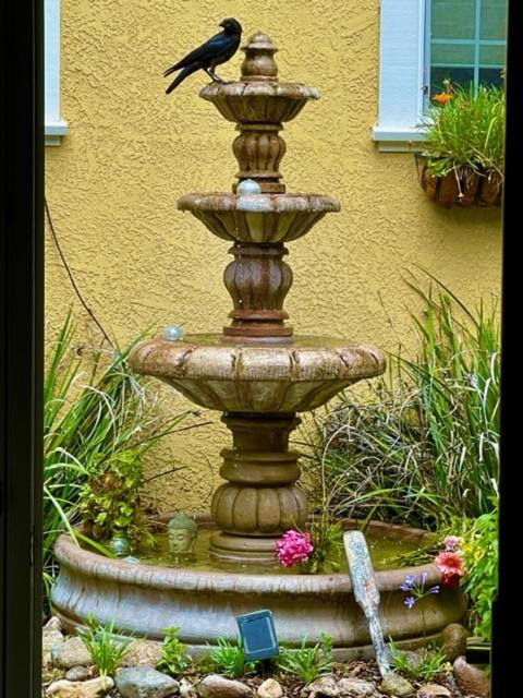 | Glen Ellen Inn Secret Cottages
