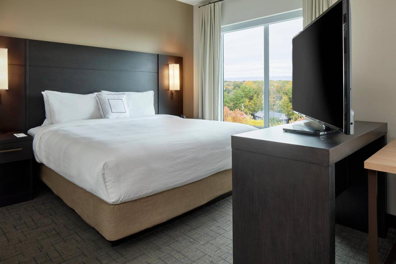 Studio, 1 King, Sofa bed at Residence Inn by Marriott Albany Airport