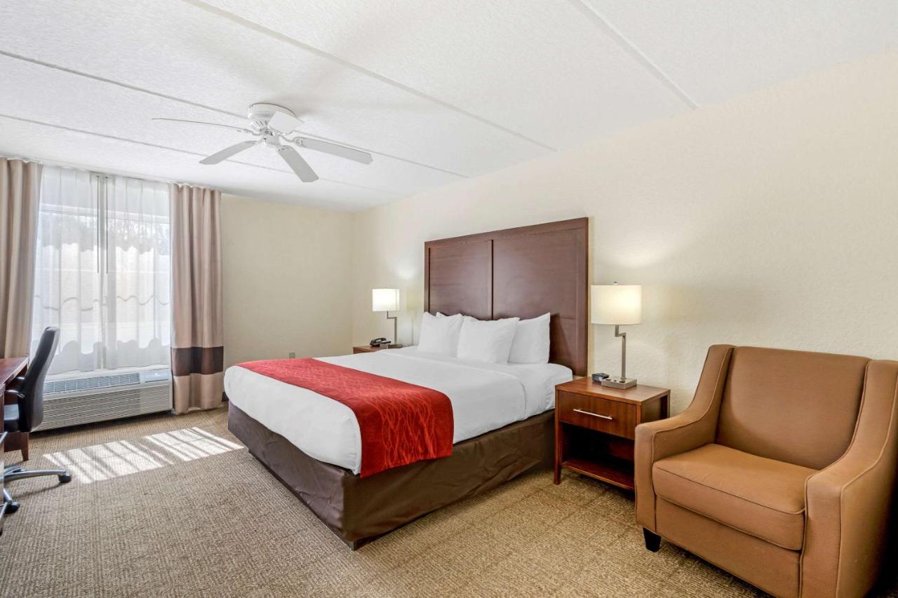Standard King Room - Non-Smoking  at Comfort Inn Kissimmee-Lake Buena Vista South