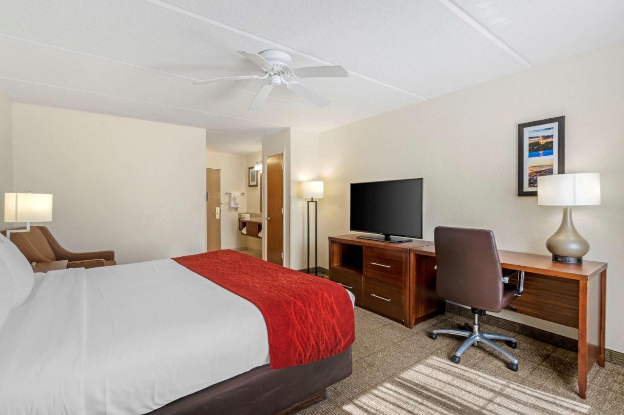 Standard King Room - Non-Smoking  at Comfort Inn Kissimmee-Lake Buena Vista South