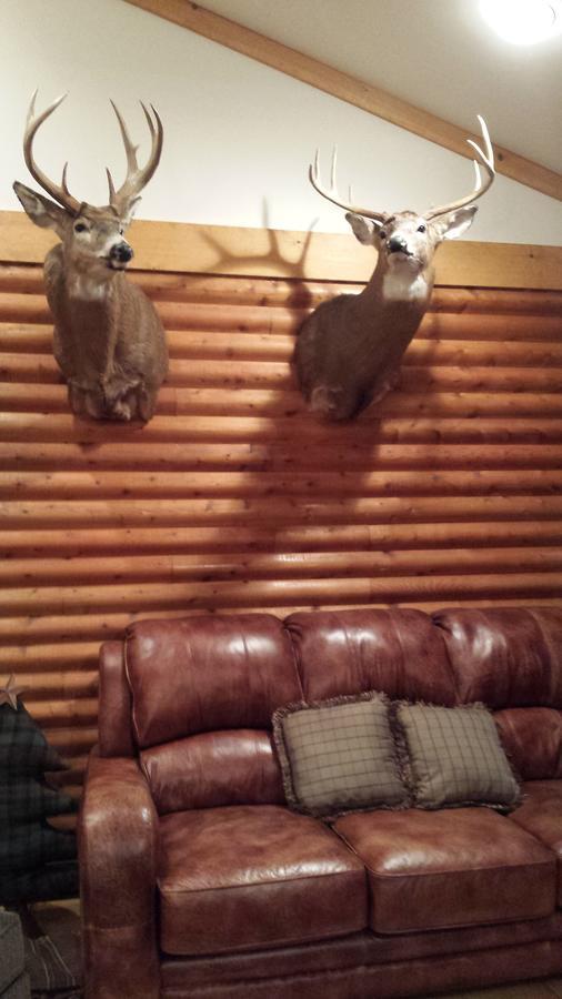 | Deer Mountain Lodge & Wilderness Resort