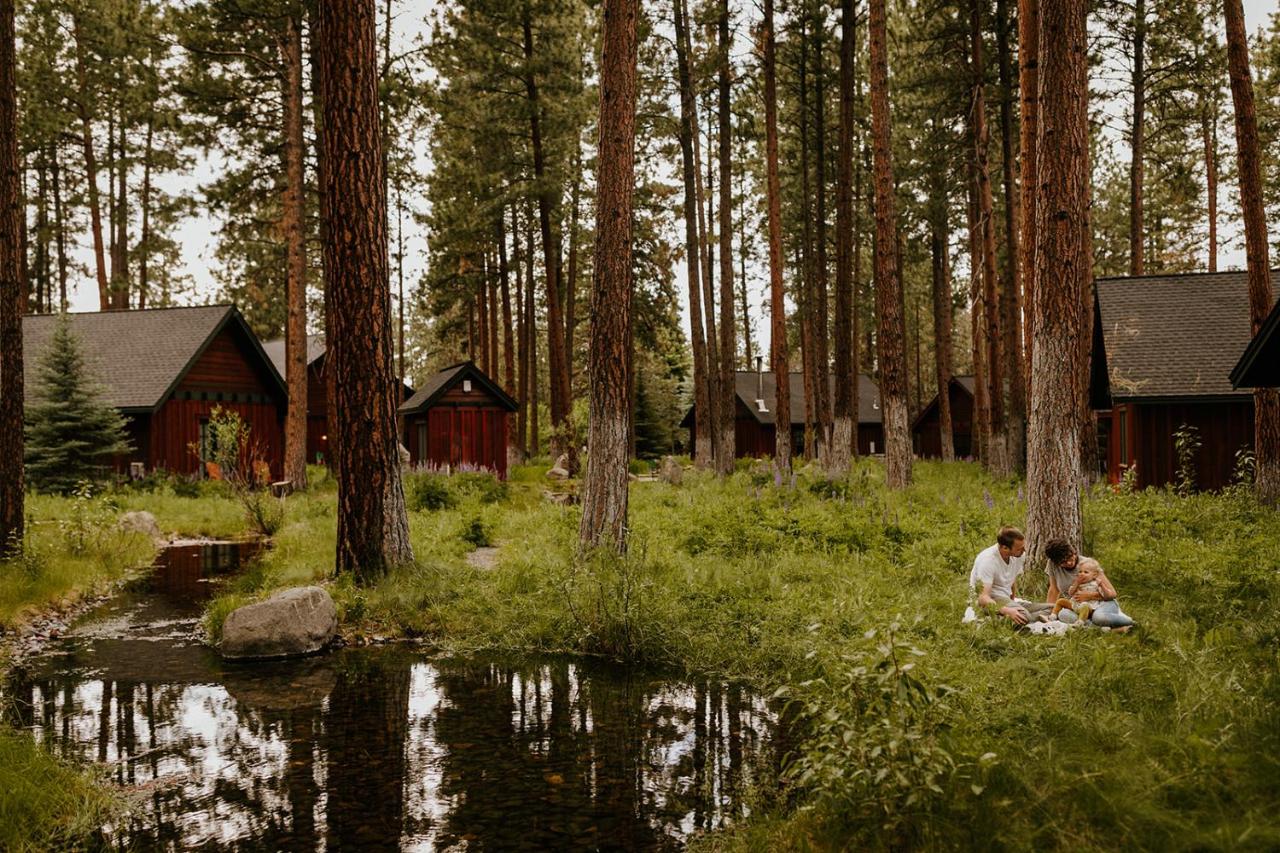 | FivePine Lodge