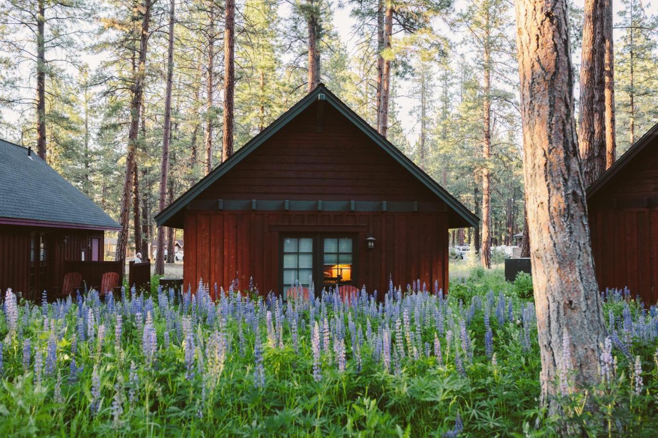 | FivePine Lodge