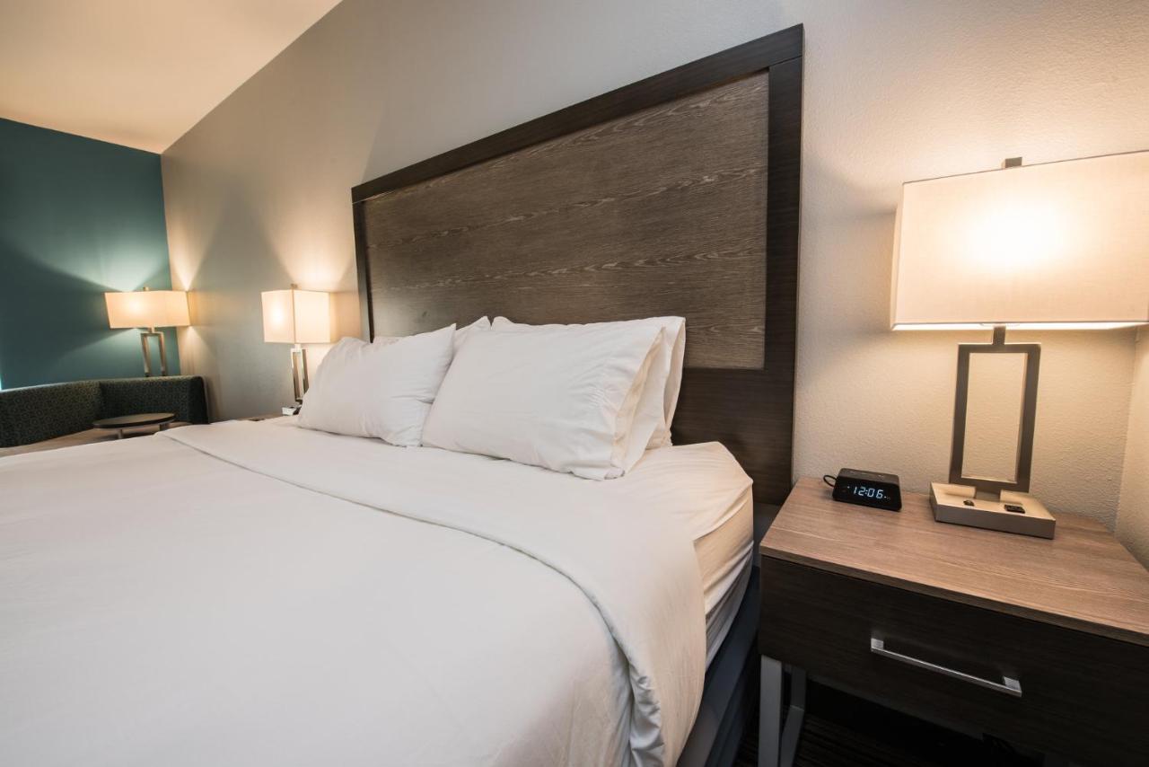 Leisure King Room - Non-Smoking at Holiday Inn Express & Suites Houston - Hobby Airport Area by IHG