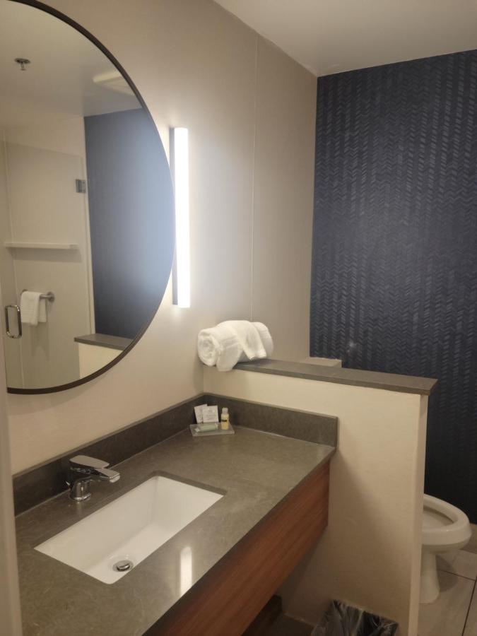 Executive King Suite with Sofa Bed at Fairfield Inn & Suites Athens Marriott