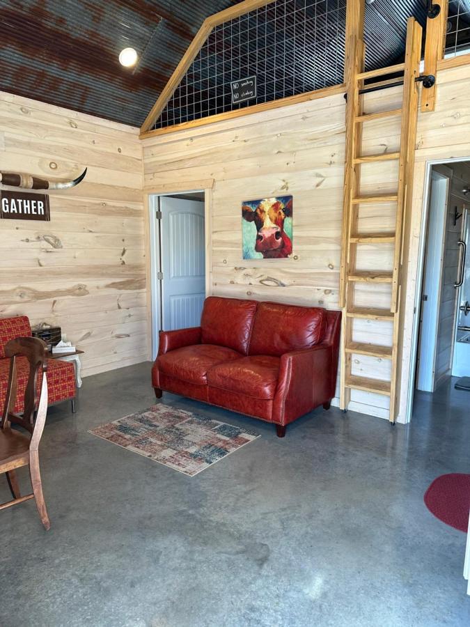 | Knotty Squirrel Cabins