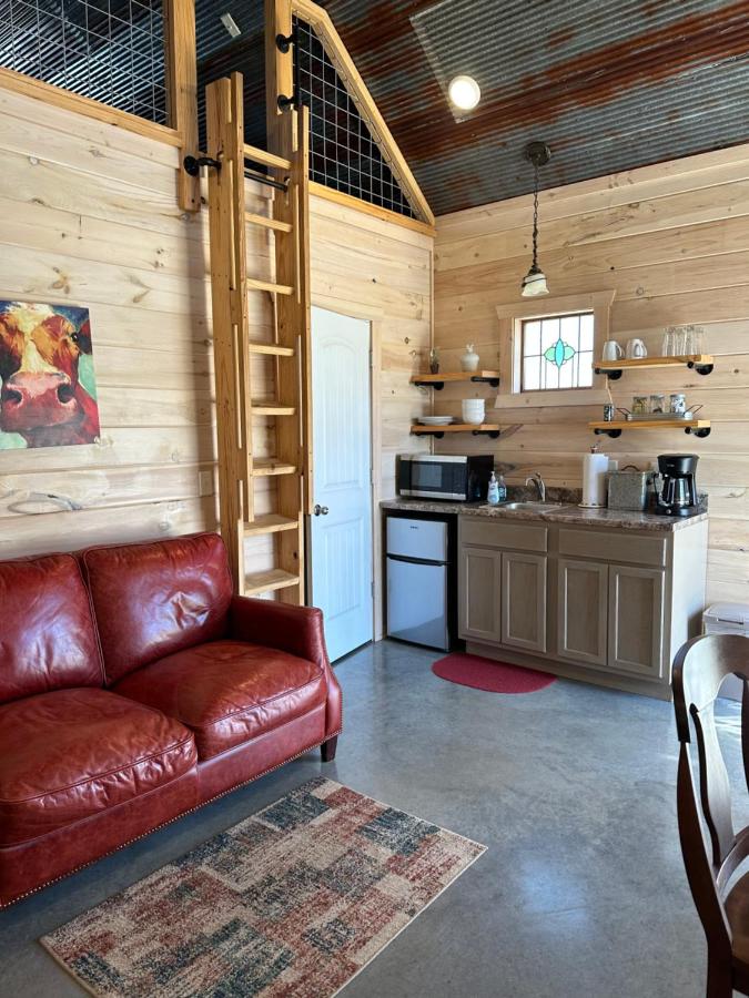 | Knotty Squirrel Cabins